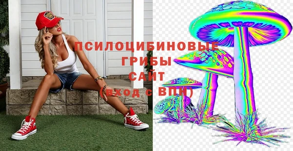 2c-b Покачи
