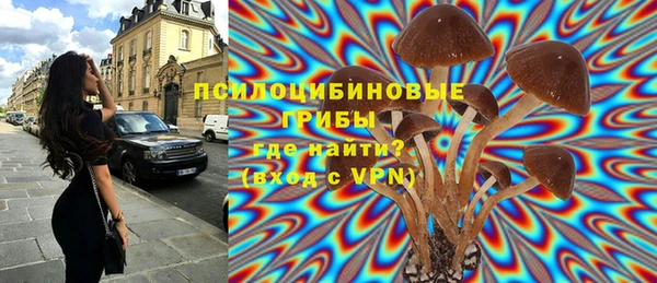 2c-b Покачи
