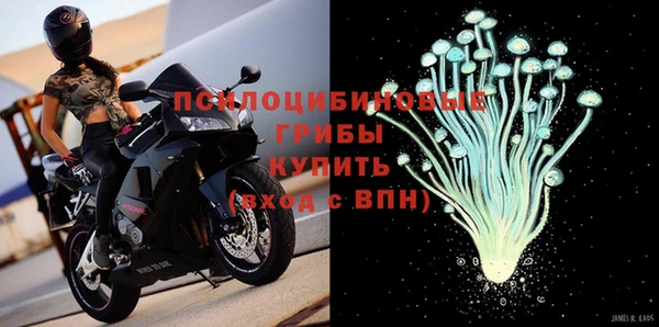 2c-b Покачи