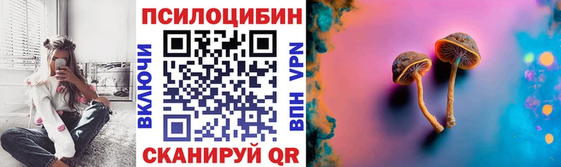 Псилоцибиновые грибы Cubensis Энгельс