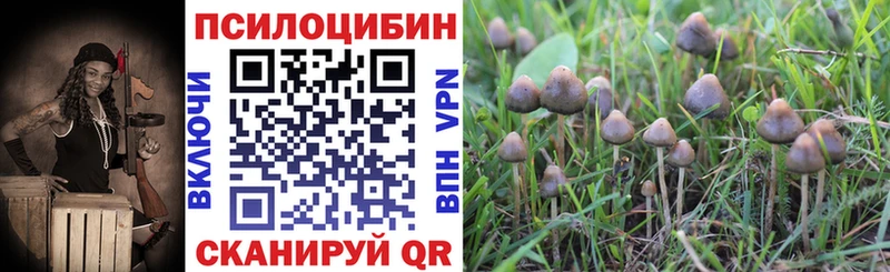 Галлюциногенные грибы Magic Shrooms  Энгельс 