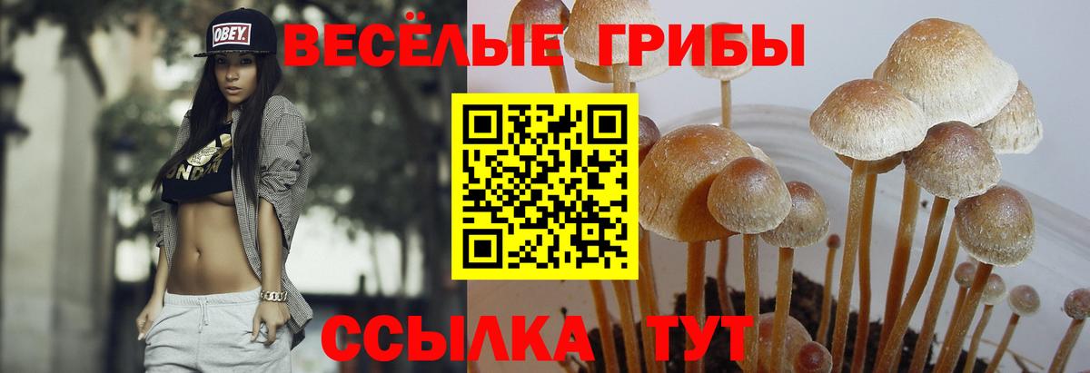 Галлюциногенные грибы GOLDEN TEACHER  Вход с VPN  Энгельс 